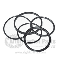 Winch Clutch Cylinder Repair Kit For Timberjack | 450812-100