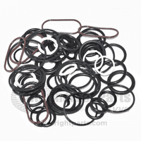 Hydraulic Control Valve Repair Kit