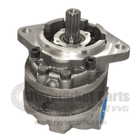 Hydraulic Pump | 810810200