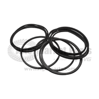 Tn 28506004 Manifold Repair Kit.png