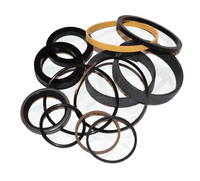 Hydraulic Cylinder Repair Kit