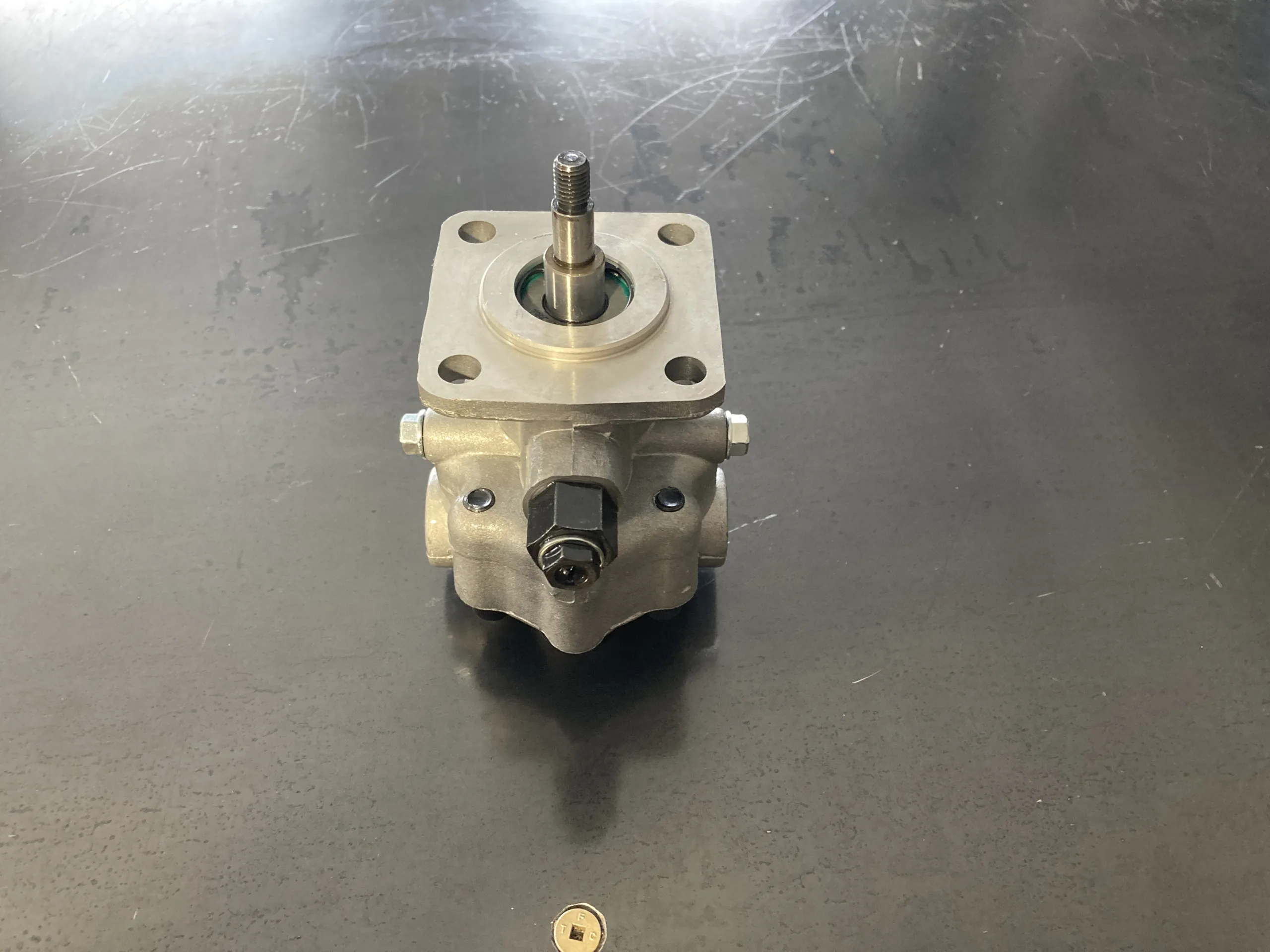 Winch Pump with Relief Valve