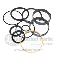 Hydraulic Cylinder Seal Kit